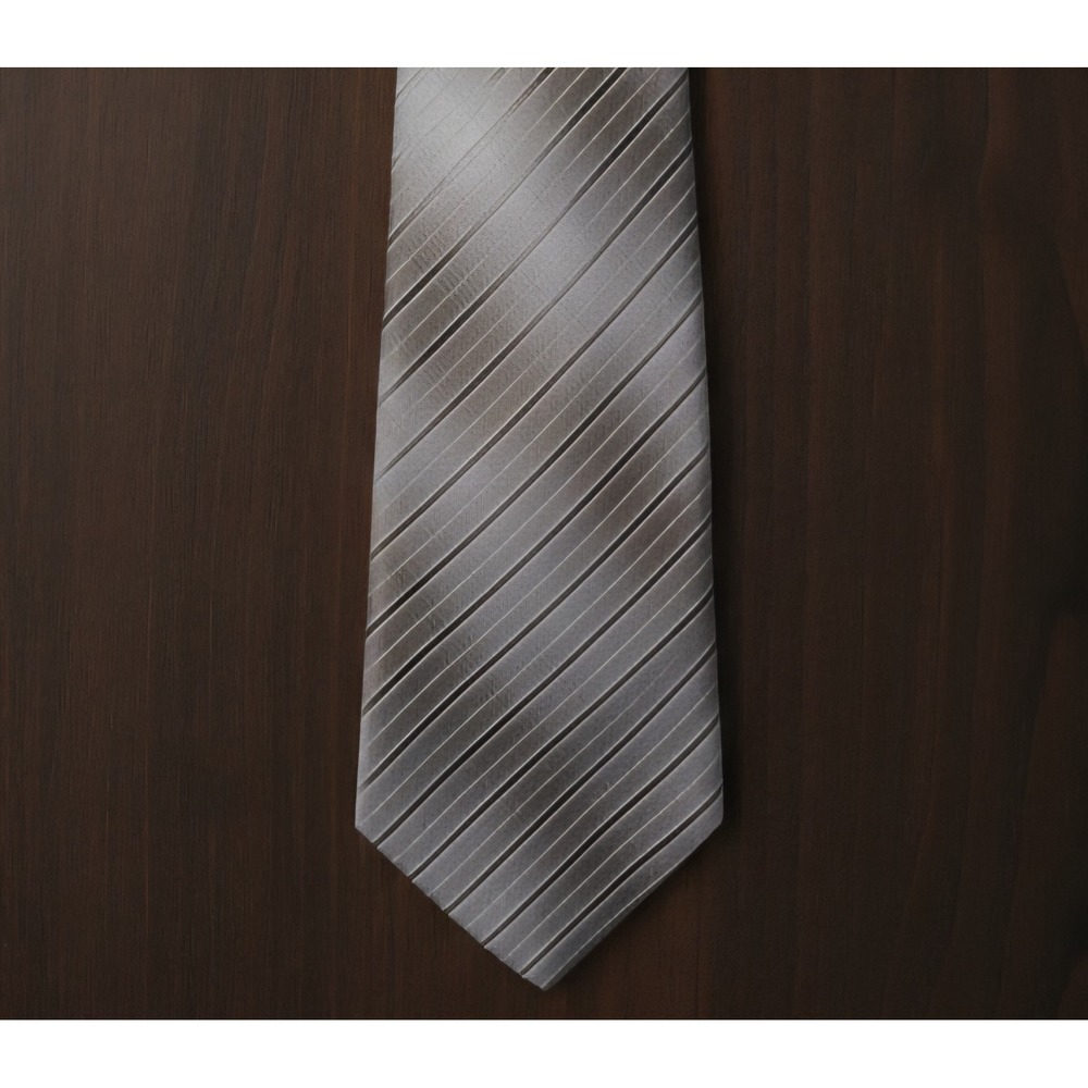 Paul Dione Silver Gray X-Long NWT Silk Striped Tie Techno Care Stain Resistant